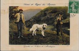 CPA Types Des Pyrénées Circulé Métier Chien Des Pyrénées - Midi-Pyrénées