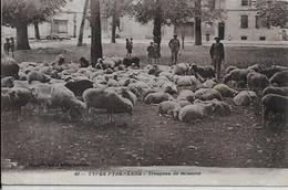 CPA Types Des Pyrénées Circulé Métier Moutons - Midi-Pyrénées