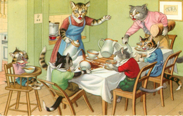 Animaux - Chat - Cats - Cat - Chats Humanisés - Illustrateurs - état - Chats