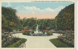 U.S.A. - NEW YORK CITY - BROOKLYN - Lily Pond And Rose Garden , Prospect Park - Brooklyn