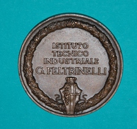 Medaglia 1958 Istituto Tecnico Industriale Feltrinelli - Professionnels/De Société