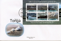Tonga 2013,  Blowhole's, Fish , BF In FDC - Tonga (1970-...)