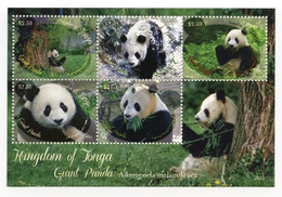 Tonga 2013, Giant Panda, 5val In BF - Tonga (1970-...)