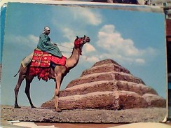 8 CARD EGITTO  EGYPT PIRAMIDI  ART STATUE LUXOR  GIZA  NVB1961/80 FV9095 - Pyramiden