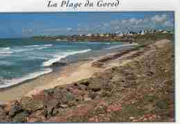 CPM  Baie D'audierne  Plage Du Gored  Plozevet - Plozevet