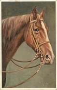 Animaux - Chevaux - Illustrateurs - état - Horses