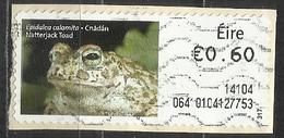 # Irlanda 2013 - Natterjack Toad (Bufo Calamita) Anfibi | Animali - Su Frammento - Affrancature Meccaniche/Frama