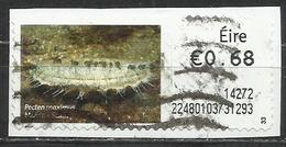 # Irlanda 2014 - Scallop (Pecten Maximus) Animali - Pesci | Squali  (su Frammento) - Franking Labels