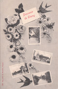 Carte Postale Ancienne De L'Yonne - Souvenir De Cheny - Vues Multiples - Cheny