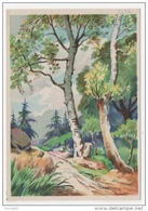 Arbres Forêts Paysages 3 Cartes éditeur Barré Dayez 1950 état Superbe - Arbres