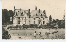 CLERES - PARC ZOOLOGIQUE - Le Château - Grues Couronnées Et Demoiselles Numidie - Clères