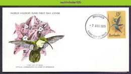 Ndi1127b WWF FAUNA VOGELS KOLIBRI HUMMINGBIRD GREEN-THROATED CARIB BIRDS VÖGEL AVES OISEAUX BARBADOS 1979 FDC - Colibris
