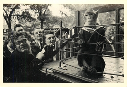 ROBERT DOISNEAU -  PHOTOGRAPHE - LES ANIMAUX SUPERIEURS - PARIS - 1954  - RARE EDITION ARTISTIQUE ADMIRA- - Doisneau