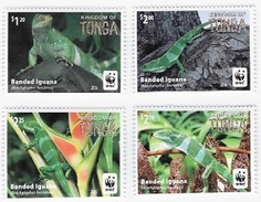 Tonga 2016, WWF, Iguanas, 4val - Tonga (1970-...)