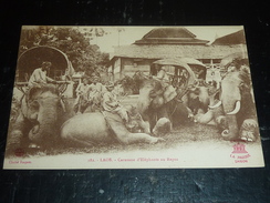 LAOS - CARAVANE D'ELEPHANT AU REPOS - EDITEUR LA PAGODE SAIGON - ANCIENNE COLONIE (T) - Laos