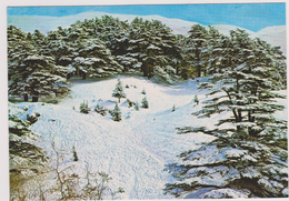 ASIE,ASIA,LIBAN,LEBANON, BEYROUTH,BEIRUT,neige,tampon Aeroport ,3 Timbres - Lebanon