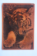 Moscow ZOO 1961  - Old Postcard - Siberian Tiger Cub - Tigers