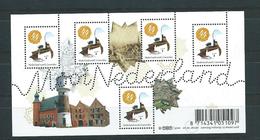 Niederland 2008 Mooi Nederland Klb. Covarden Postfrisch - Unused Stamps