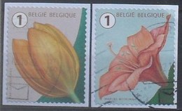 België 2016 Bloemen Fleurs (rolzegel) - Used Stamps