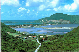 Amérique - Saint MArtin - St Maarten - The Salt Ponds - Saint-Martin