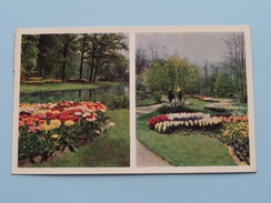 " KEUKENHOF " Lisse-Holland ( Planeta ) Anno 1952 ( Zie Foto Details ) !! - Lisse