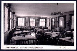 8733 - Alte Foto Ansichtskarte - Schierke - Ferienhaus Franz Mehring - Stenner - N. Gel - TOP - Schierke