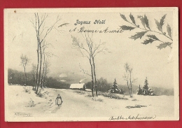 FJM-01 Joyeux Noël  Paysage Hivernal Avec Femme Et Canne. Précurseur. Cachet 1904 - Sonstige & Ohne Zuordnung