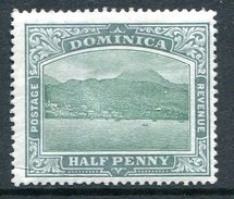 Dominica 1903-07 KEVII - Roseau From The Sea (Wmk. Crown CC) - ½d Green & Grey-green HM (SG 27) - Dominique (...-1978)