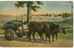 Water Seller Vendedor De Agua Cuba  Ox Cart With Wooden Wheels Edicion Jordi No 73 Roues Pleines En Bois - Cuba