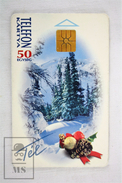 Collectible Christmas Topic Phone Card - Hungary 1995 Merry Christmas And Happy New Year - Noel