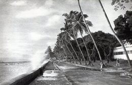 Guinée Française. Le Boulevard Lagunaire à Conakry - Guinée Française