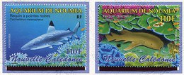 (CL Blocs) Nelle Calédonie ** Tbres Du Bloc N° 35 - Requins - - Unused Stamps