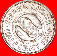 § FISHES: SIERRA LEONE ★ 1/2 CENT 1964! LOW START ★ NO RESERVE! - Sierra Leona