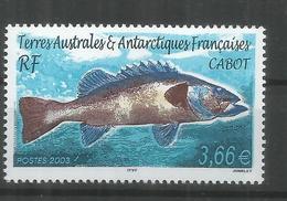 TAAF ANTARTCTIC ANTARTIDA POLO SUR PEZ FISH CABOT - Antarctische Fauna