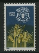 FAO -   INDIA - Contre La Faim