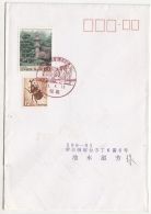 53473- JAPANESE GARDEN, BEETLE, STAMPS ON COVER, 2003, JAPAN - Briefe U. Dokumente