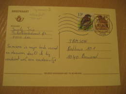 WINCHAT TARIER SPARROW SPARROWS CERNICALO Lier 1994 Postal Stationery Card Belgium - Spatzen