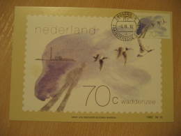 GEESE GANSO Poultry Duck Groningen 1982 Maxi Maximum Card Netherlands - Oies