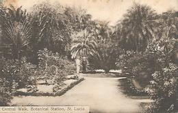 Central Walk, Botanical Station, St Lucia (timbre St Lucia 1+1/2 D Au Dos, Stamp Of St Lucia At The Back) - Santa Lucía