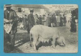 CPA 398 - Scène De La Vie Normande - Maquignons Marché Aux Cochons  14 - Autres & Non Classés