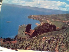 SCHWEIZ SUISSE SWITZERLAND SVIZZERA Vignoble De LAVAUX - Tour De Marsens Cully - Vigne Vigneron VIGNA N1975  FW9277 - Cully