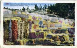 UNITED STATES AMERICA  WYOMING  YELLOWSTONE  Hyman Terrace  Mammoth Hot Springs  Yellowstone National Park - Yellowstone