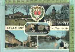 81  REALMONT - Realmont