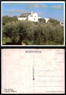 PORTUGAL COR 51417 - ÉVORA - ESTREMOZ - SÃO LOURENÇO - Evora