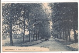 18 - SANSERGUE - La Brulerie Et La Route De Bourges - Sancergues