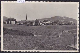 Cortaillod : Les Vignes Et Le Bourg Vers 1962 ; Plis (14´436) - Cortaillod