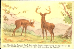 LE GRAND CERF ROI DE LA FORET OBSERVE LE CAMPEMENT DE CES HOMMES QUI JADIS LUI PRIRENT LA MERE DE BAMBI - Altri & Non Classificati