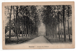 CPA - NOINTEL - AVENUE DU CHATEAU - N/b - Vers 1910 - - Nointel