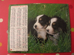 Calendrier Illustré En Carton De 1981. Almanach Des PTT Postes Facteur. Chien - Tamaño Grande : 1981-90