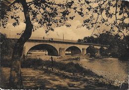 Montélimar - Le Pont De Pierre Sur Le Roubion - Edition CAP - CPSM Dentelée, Non Circulée - Montelimar